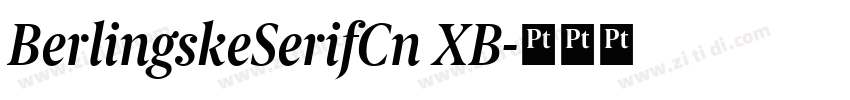 BerlingskeSerifCn XB字体转换